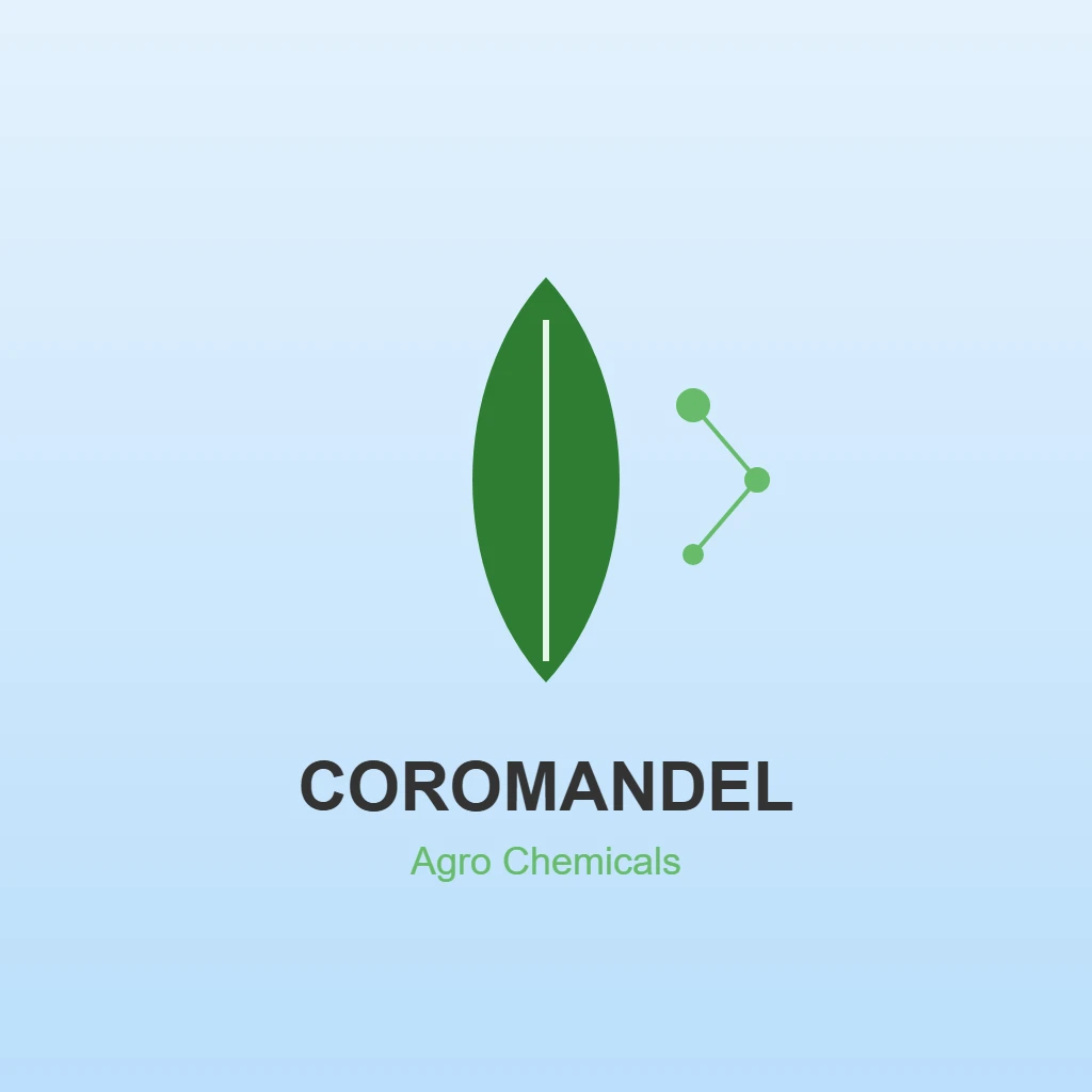 coromandel
